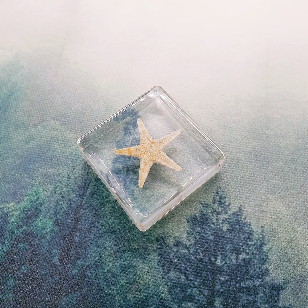 Frenzel Starfish-Shaped Weight Block