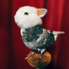 Taxidermy Bunny Bird on Wooden Plinth - "Jimb"