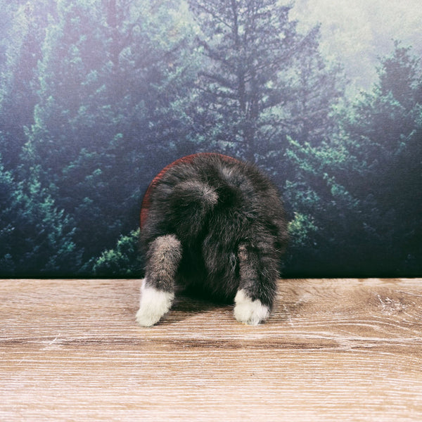Taxidermy Bunny Butt Wall Plaque - Black