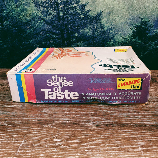 Vintage 1970s Lindberg The Sense of Taste Model Box + Contents
