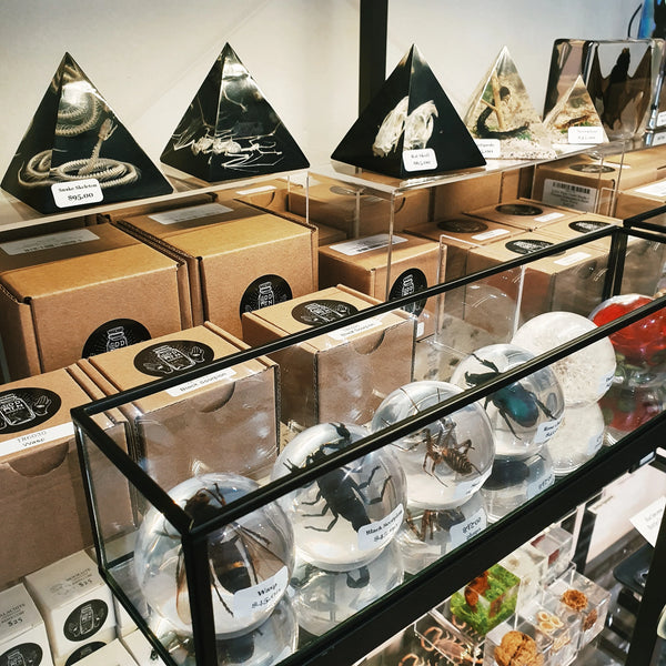 Pyramid, Globe + Other Shape Resin Specimens