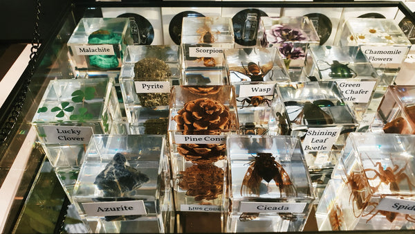 Cube Resin Specimens