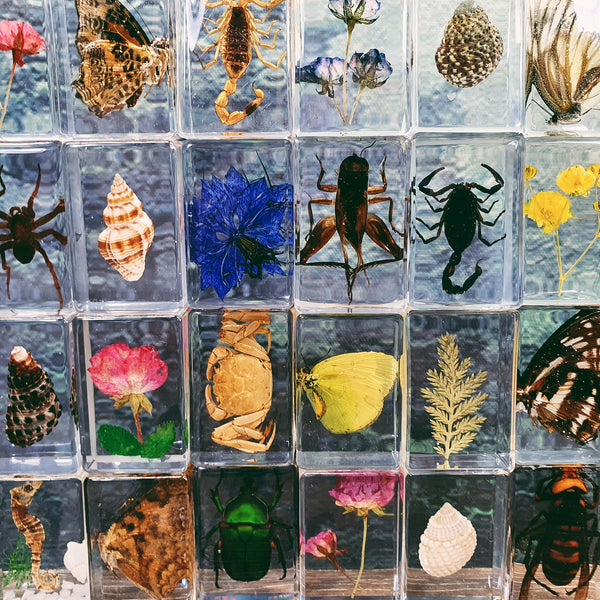 Lucky Dips + Mystery Boxes