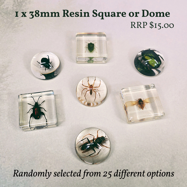 Odd Mountain Birthday Lucky Dip Box ($170 Value)