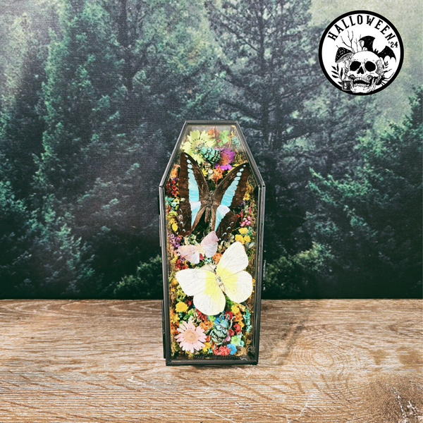 Butterflies & Insects with Rainbow Botanicals in Glass Coffin