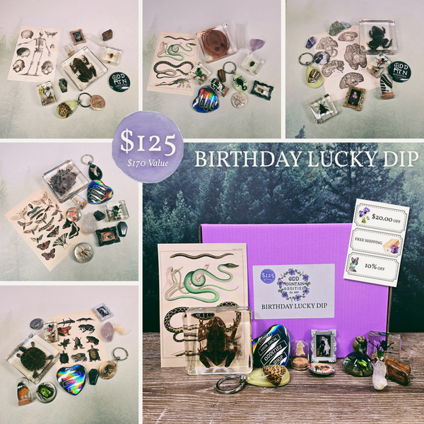 Odd Mountain Birthday Lucky Dip Box ($170 Value)