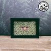 13x18cm Halloween Frame - Black Cat Pyrops Detanii Lanternfly