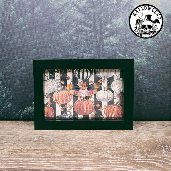 13x18cm Halloween Frame - Vintage Pumpkin Pyrops Detanii Lanternfly