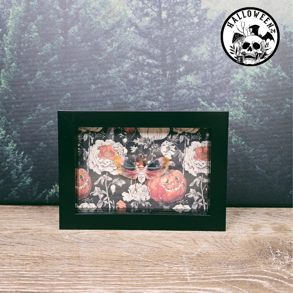 13x18cm Halloween Frame -Floral Pumpkin Pyrops Detanii Lanternfly