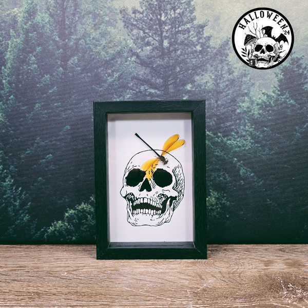 12x17cm Halloween Frame - Skull Damselfly