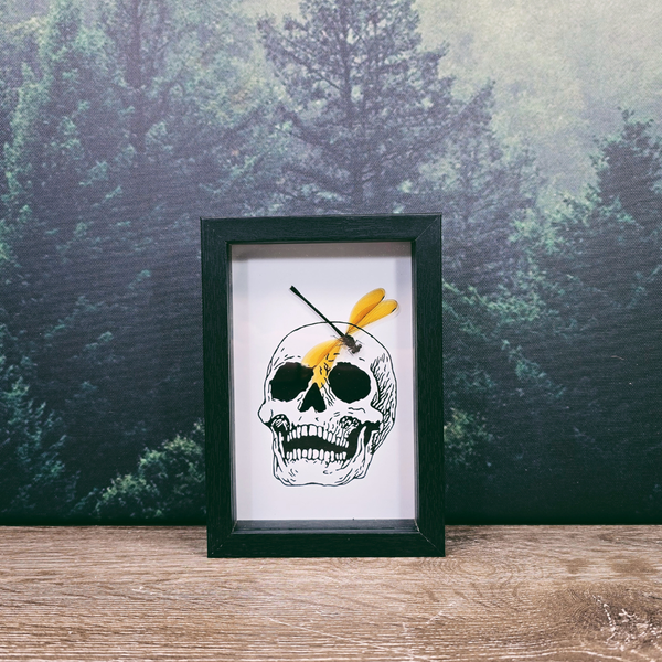 12x17cm Halloween Frame - Skull Damselfly