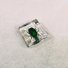 Scarab Beetle in 38mm Square Resin Block