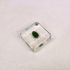 Southern Green Stink Bug in 38mm Square Resin Block