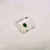 Southern Green Stink Bug in 38mm Square Resin Block