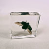 Colourful Scarab Beetle in 58mm Square Resin Block