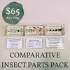 Resin Comparative Insect Part Pack ($105 Value)