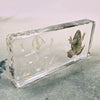 Frog & Frog Skeleton Embedded in Resin 138mm