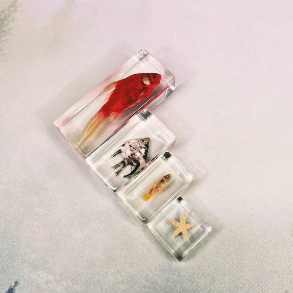 Resin Fish Pack ($126 Value)