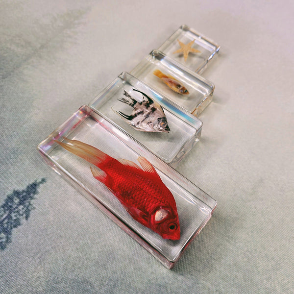 Resin Fish Pack ($126 Value)