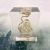 Pigeon Skeleton Specimen Embedded in Resin 180mm