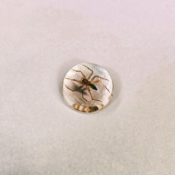 Water Spider in 38mm Resin Dome