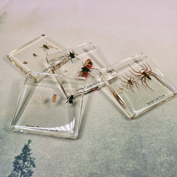 Resin Life Cycle Pack ($140 Value)