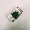 Turtle Embedded in Resin 74mm