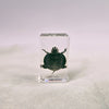 Turtle Embedded in Resin 74mm