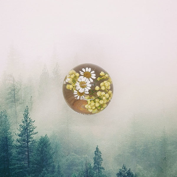 Chamomile Flowers Embedded in Resin Globe on Stand