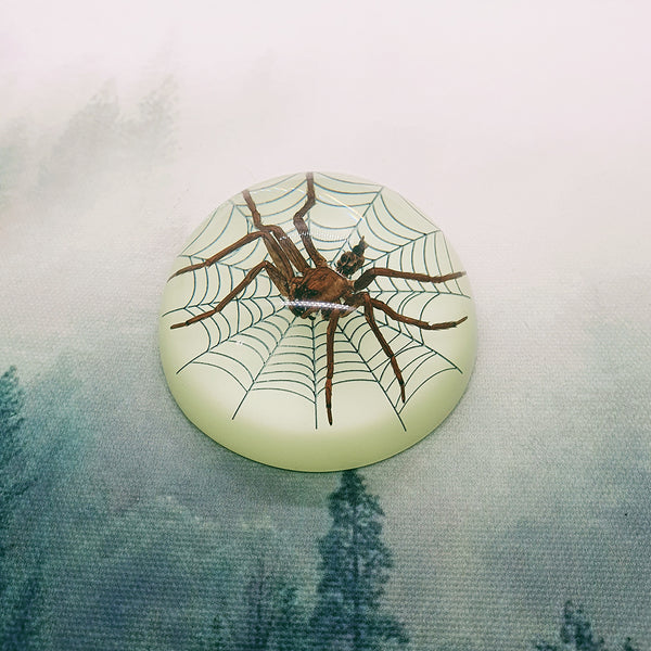 Spider in 63mm Glow Resin Dome