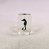 Sea Horse Embedded in Resin 44mm