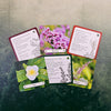 Apothecary Flashcards