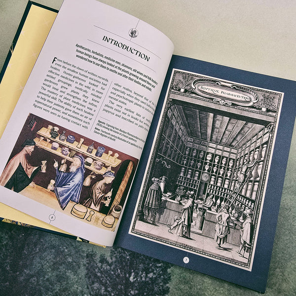 Kew: The Apothecary's Garden