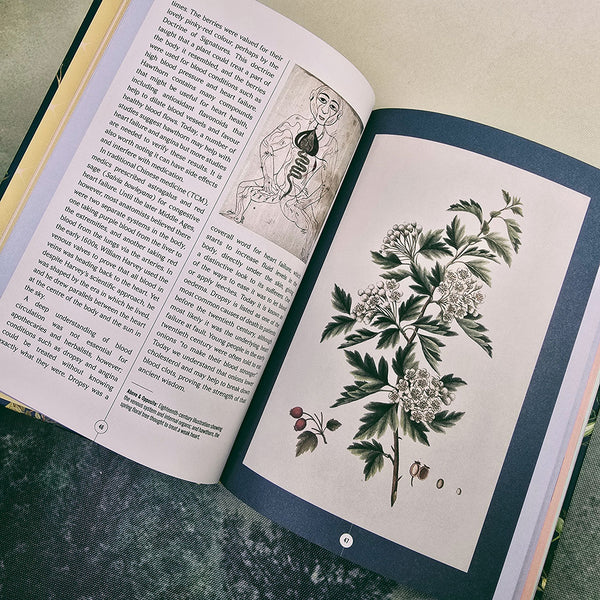 Kew: The Apothecary's Garden