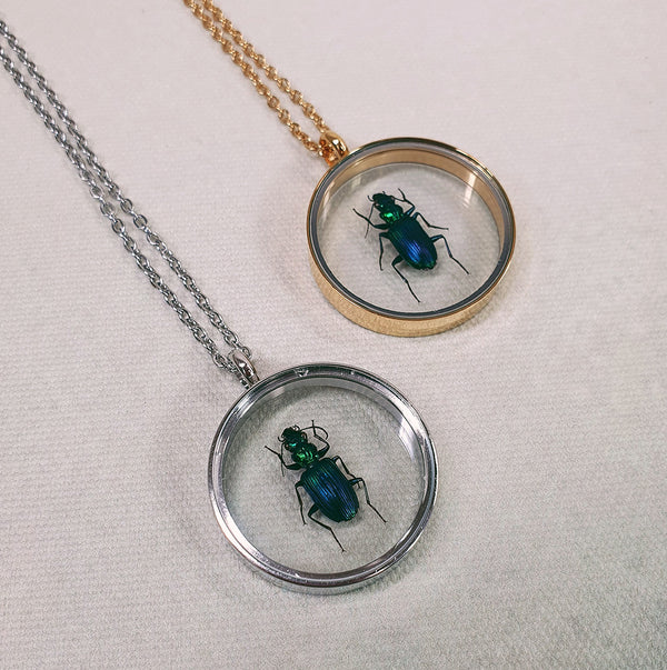 Encapsulated Insect in Round Glass Locket