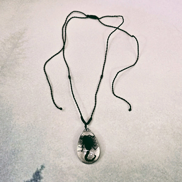 Black Scorpion in Clear Resin Teardrop Necklace