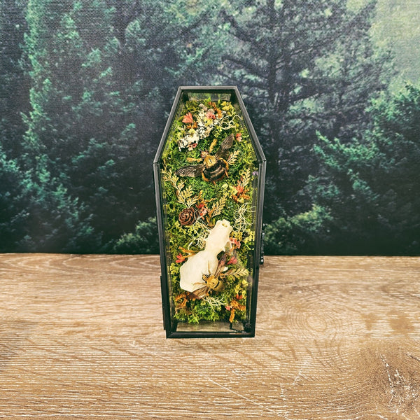 Mink Skull & Carpenter Bees with Dried Botanicals in Glass Coffin