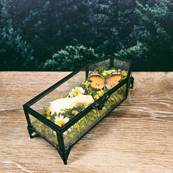 Mink Skull + Orange Butterfly in Glass Coffin
