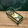 Butterflies & Insects with Rainbow Botanicals in Glass Coffin