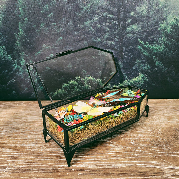 Butterflies & Insects with Rainbow Botanicals in Glass Coffin