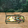 Butterflies & Insects with Rainbow Botanicals in Glass Coffin