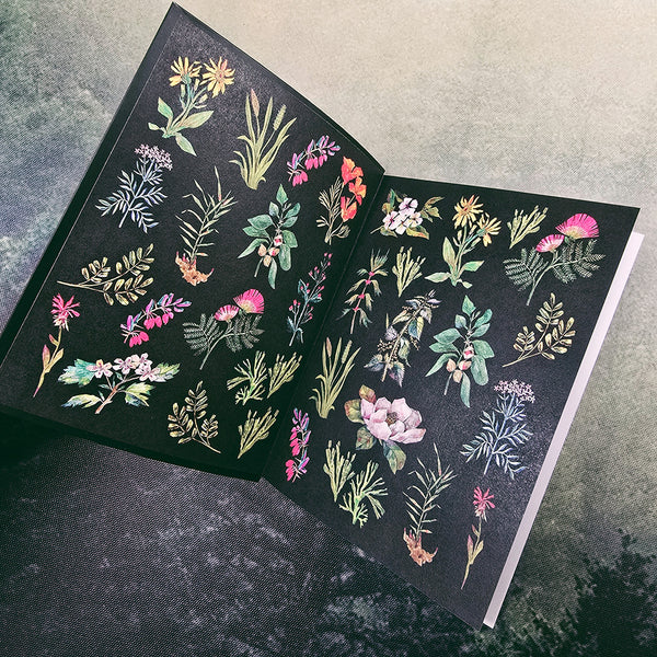 Dirt Gems Plant Oracle