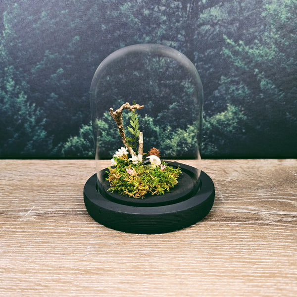 Finch Skull on Moss Environment in 13cm Glass Dome