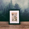 Naturalist Print in 17x22cm Black Frame | Plants/Minerals