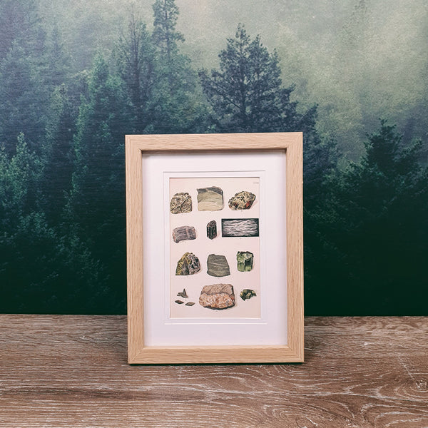 Naturalist Print in 17x22cm Oak Look Frame | Plants, Animals, Minerals