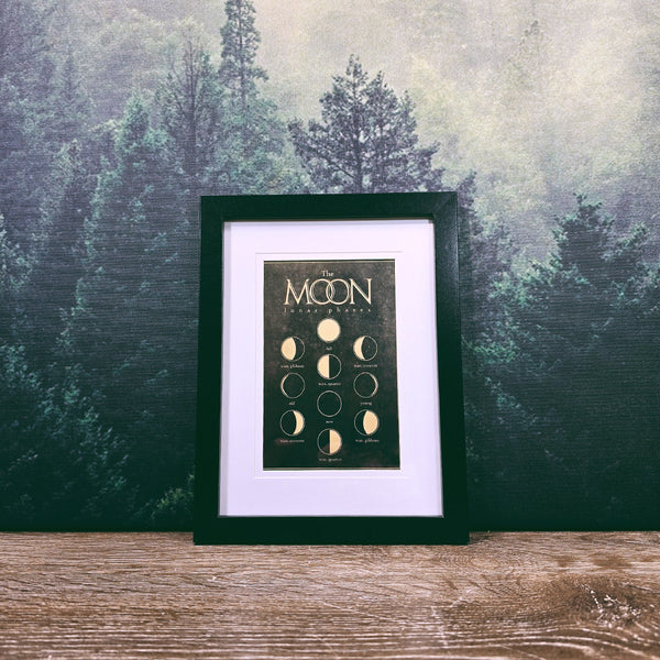 Naturalist Print in 17x22cm Black Frame | The Moon/Lunar Phases
