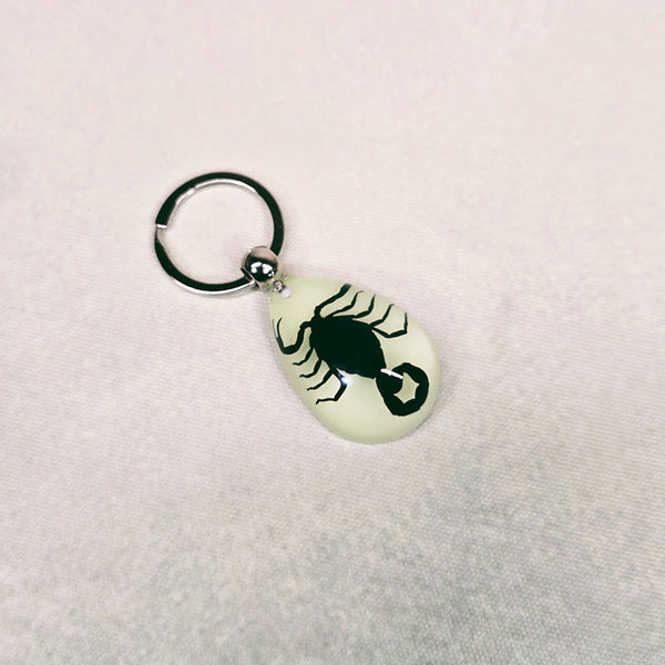 Black Scorpion Embedded in Glow Resin Keyring