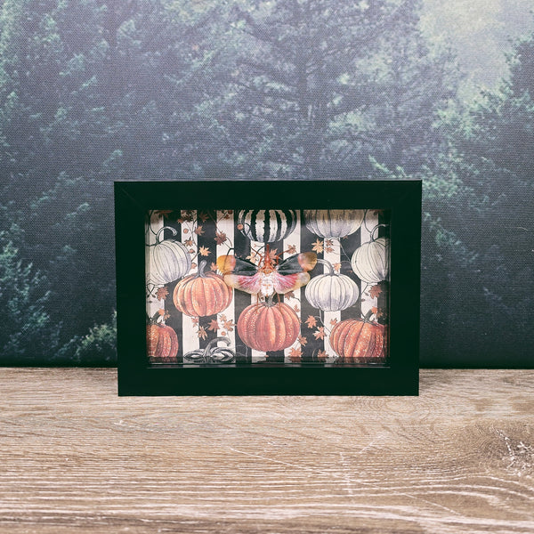 13x18cm Halloween Frame - Vintage Pumpkin Pyrops Detanii Lanternfly