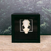 Mink Skull Mounted in 11cm Square Frame