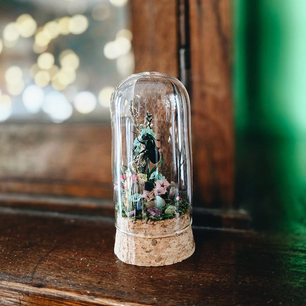 Insect Garden in 8cm Cork Dome